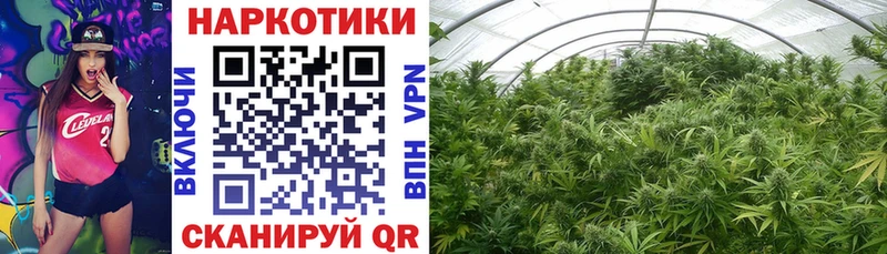 Купить наркотики цена Алапаевск A-PVP  Меф  ГАШ 