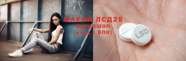 хмурый Абаза