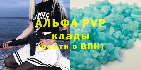 хмурый Абаза