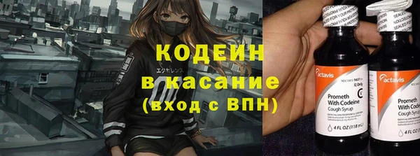 хмурый Абаза