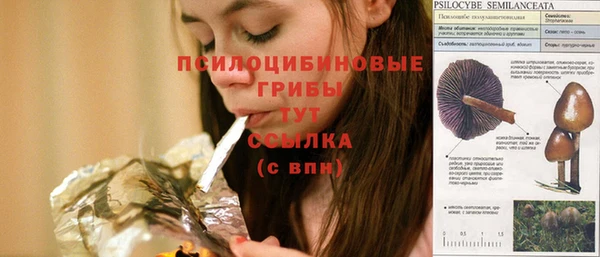 гашик Абдулино