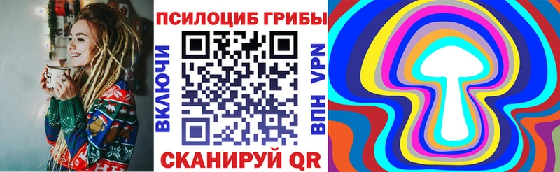 магазин продажи наркотиков  Алапаевск  Псилоцибиновые грибы мухоморы 