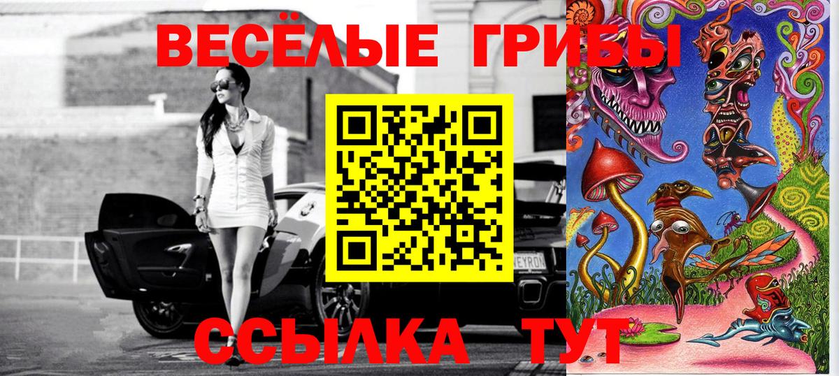 Галлюциногенные грибы Psilocybine cubensis Алапаевск