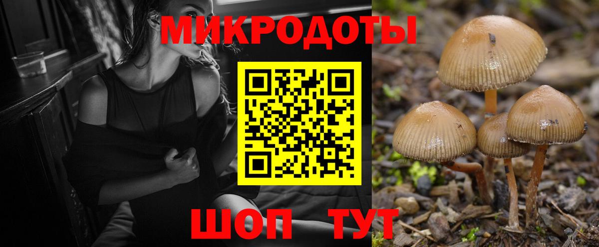 Псилоцибиновые грибы Magic Shrooms  Вход с VPN  Алапаевск  Псилоцибиновые грибы мухоморы 